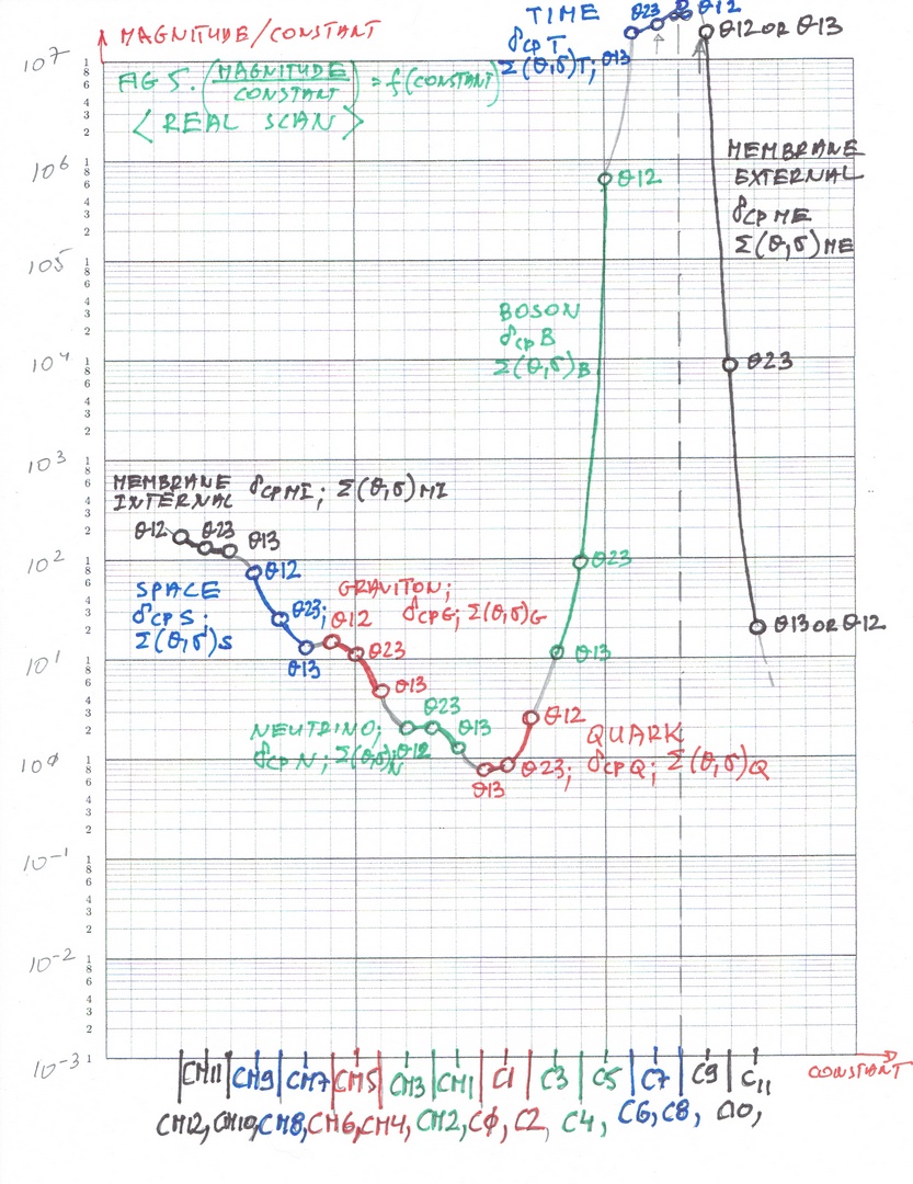 Fig 5 Quantum Real scan